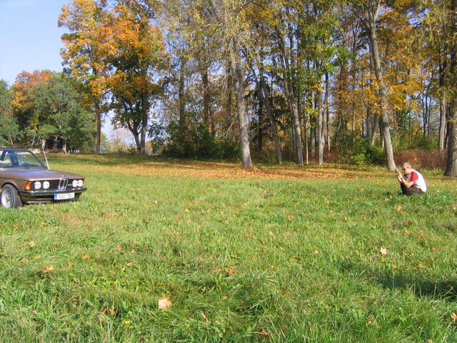 IMG 4890