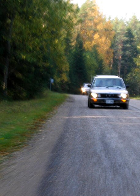 IMG 4895