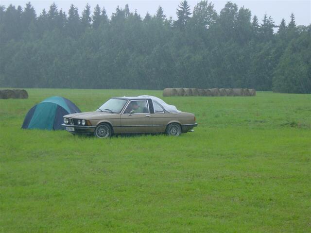 DSC04687 (Large)