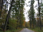 IMG 4918