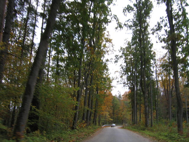 IMG 4918