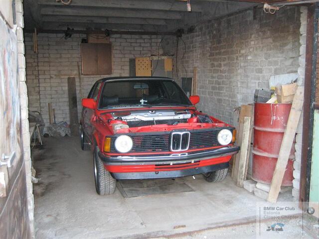 IMG 2619 (Large)
