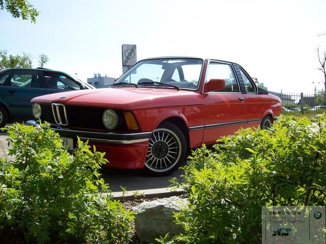 100 0476 (Large)