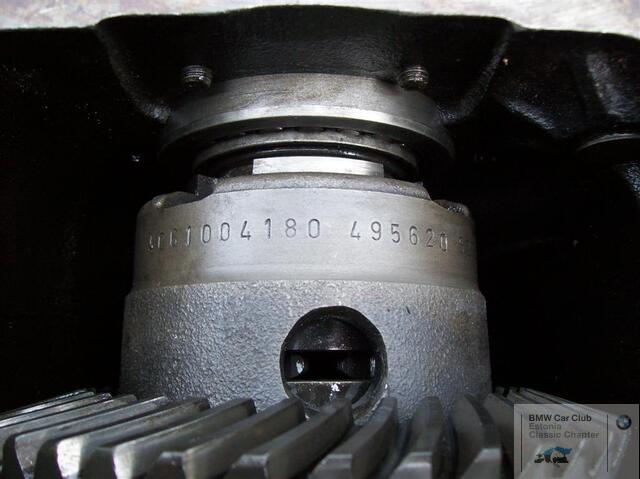 100 0504 (Large)