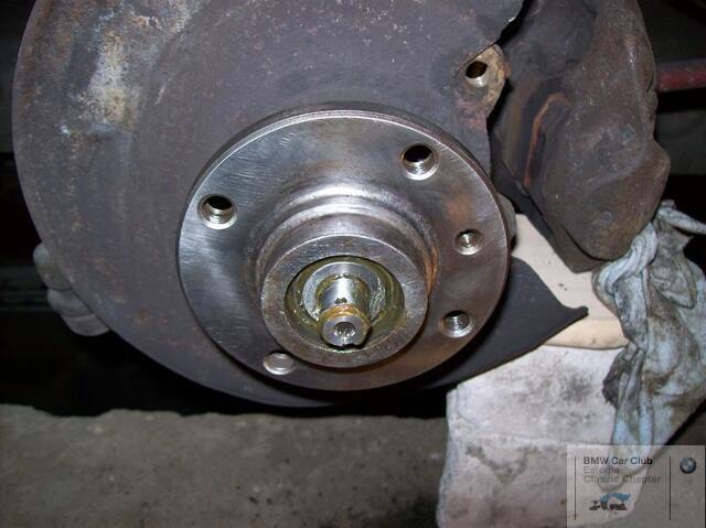 100 0555 (Large)
