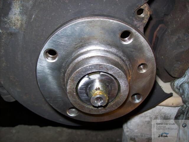 100 0556 (Large)
