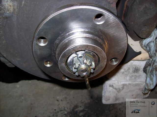 100 0557 (Large)