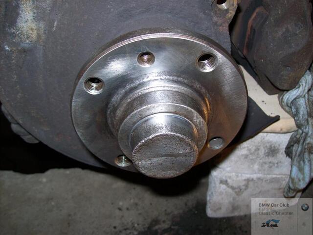 100 0558 (Large)