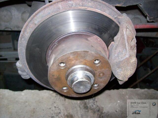 100 0559 (Large)