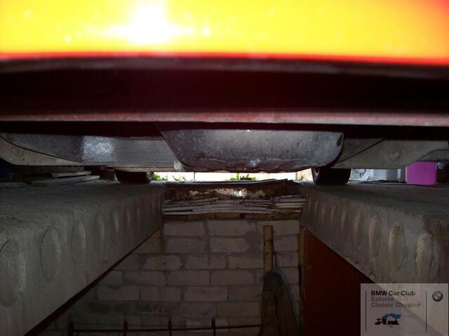100 0619 (Large)