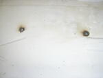 PB220567.JPG