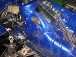 IMG_8769.JPG