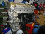 IMGP0342.JPG