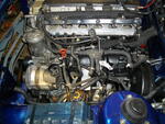 IMGP0360.JPG
