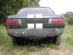 Dscn3244