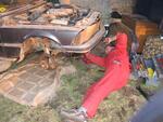 IMG 5706