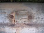 IMG 5546
