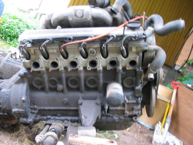IMG 5549