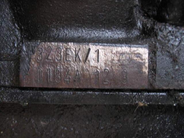 IMG 5551