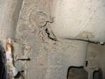 IMG 4779