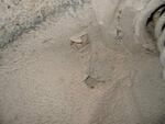 IMG 4780