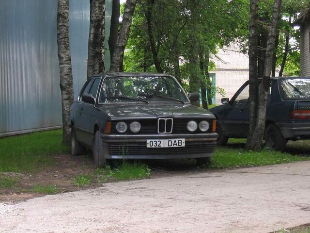 IMG 6525