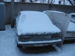 IMG_9748.jpg
