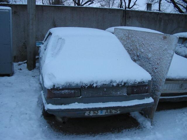 IMG_9748.jpg