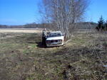 Picture 009.jpg