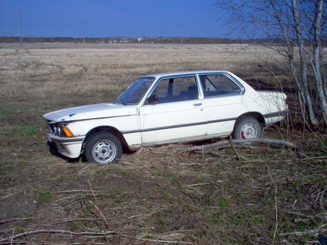 Picture 011.jpg