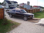 Raini BMW 323i