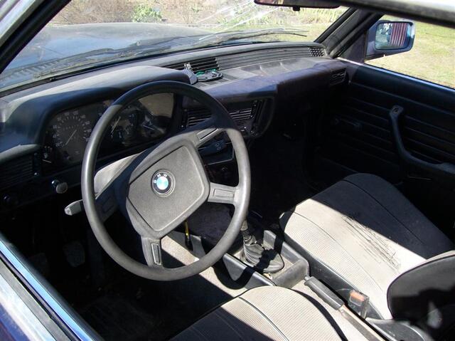 100 0364 (Large)