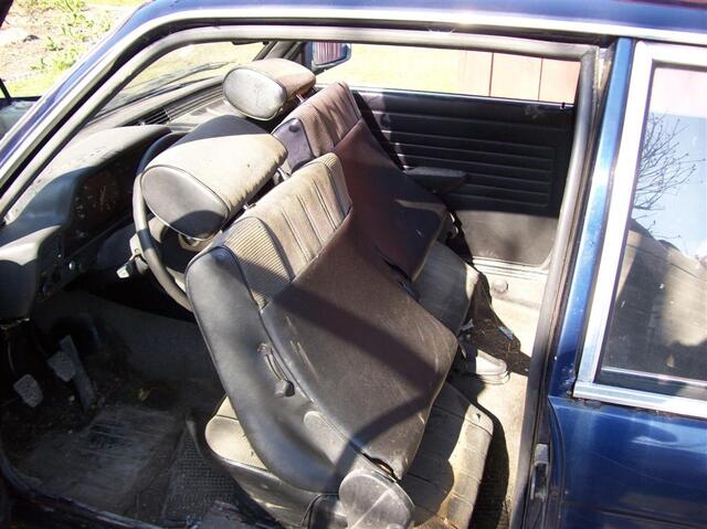 100 0366 (Large)