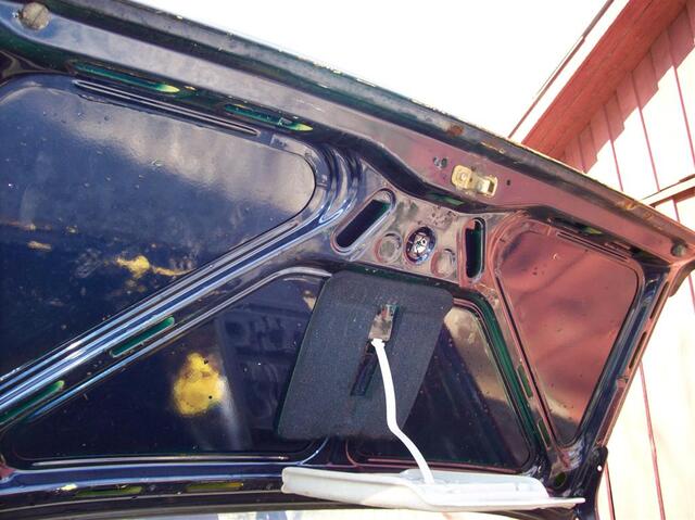100 0374 (Large)