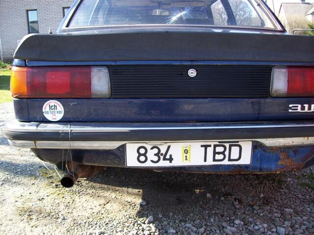 100 0379 (Large)