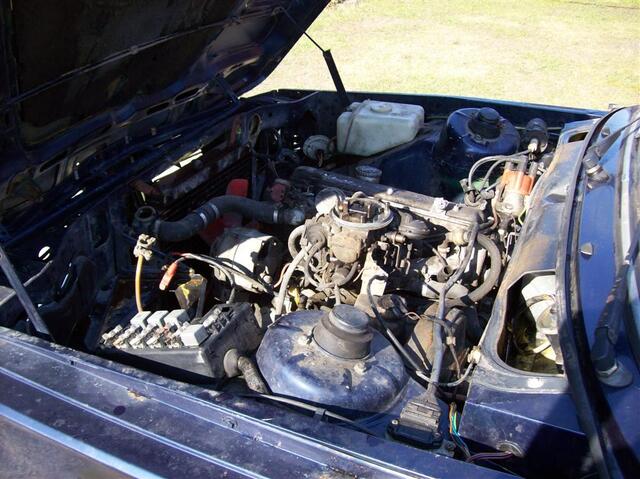 100 0381 (Large)
