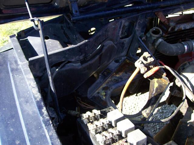 100 0383 (Large)