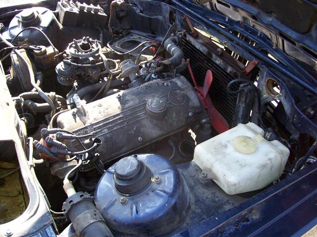 100 0384 (Large)