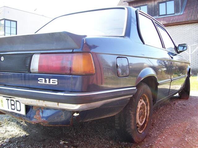 100 0392 (Large)