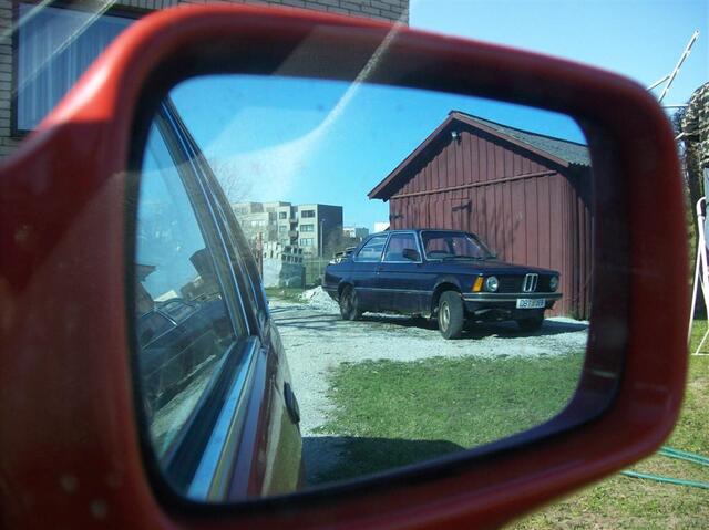 100 0397 (Large)