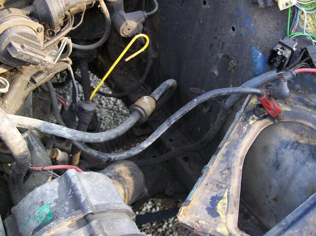 100 0407 (Large)