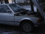 DSC08587.JPG