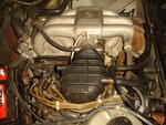 DSC08584.JPG