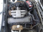 DSC08624.JPG