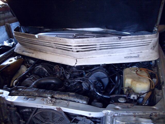 SDC11240.JPG