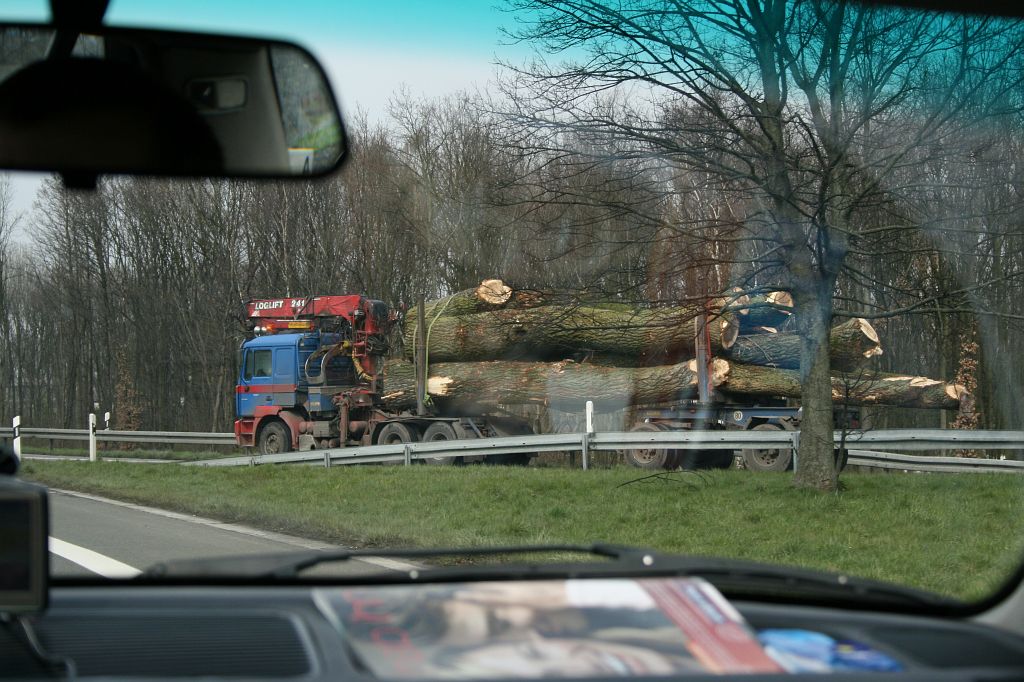 IMG_4254.jpg