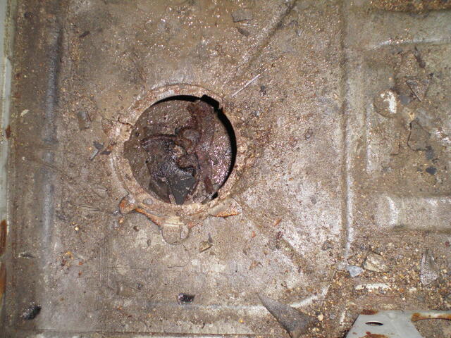 IMGP0546.JPG