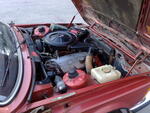 12052010878.jpg