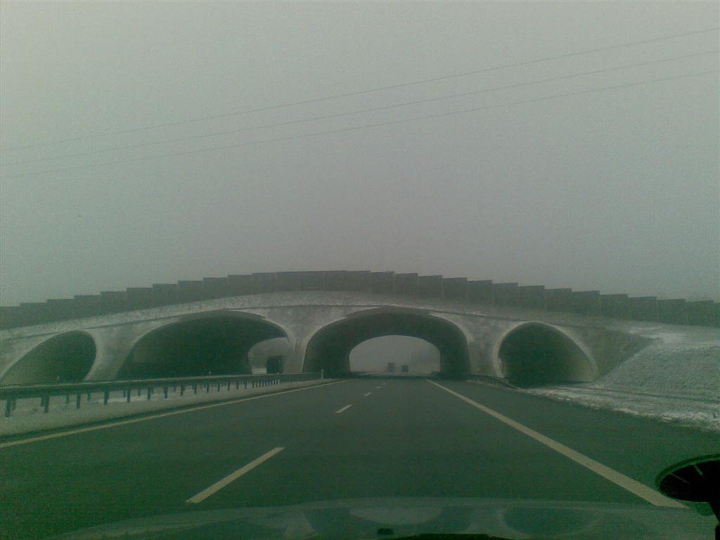 25032008 (Large)