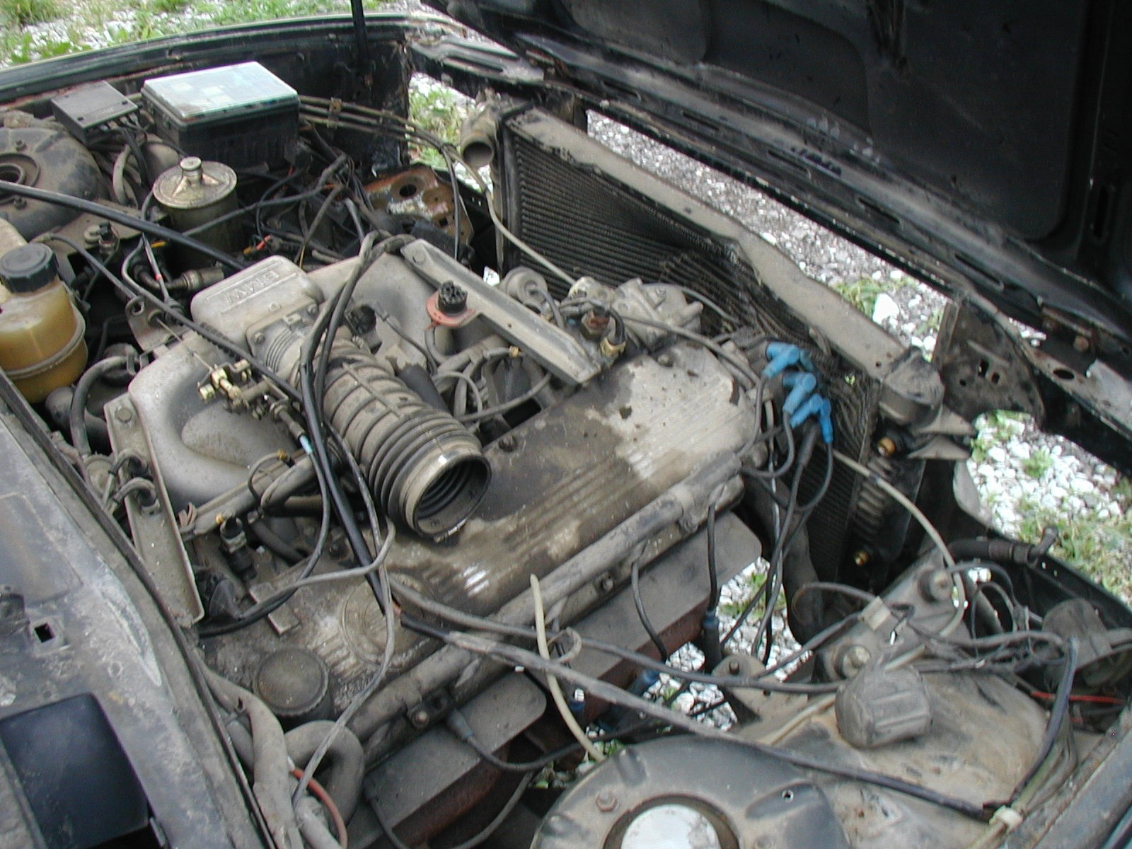 bm19